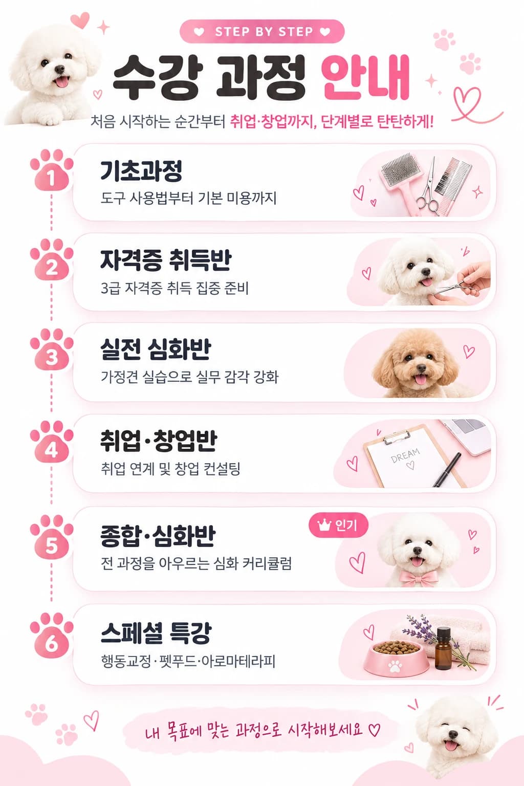 수강 과정 안내: 기초과정, 자격증 취득반, 실견 심화반, 취업·창업반, 종합·심화반, 스페셜 특강 순서로 진행되는 단계별 커리큘럼