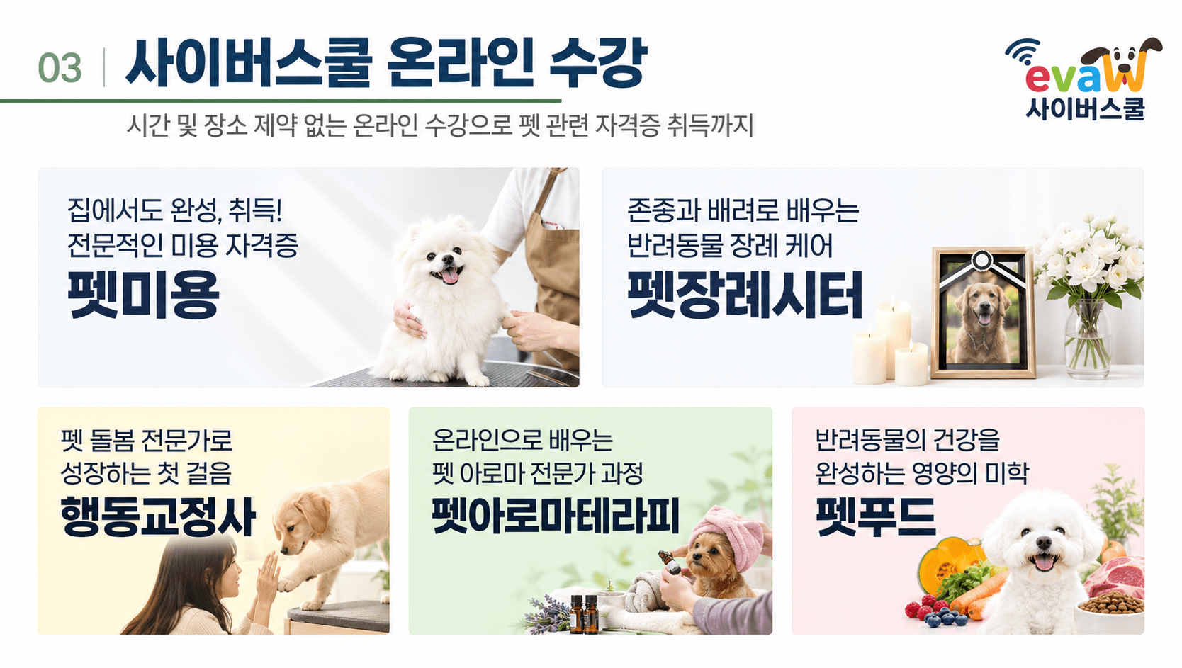 온라인 강의 제공