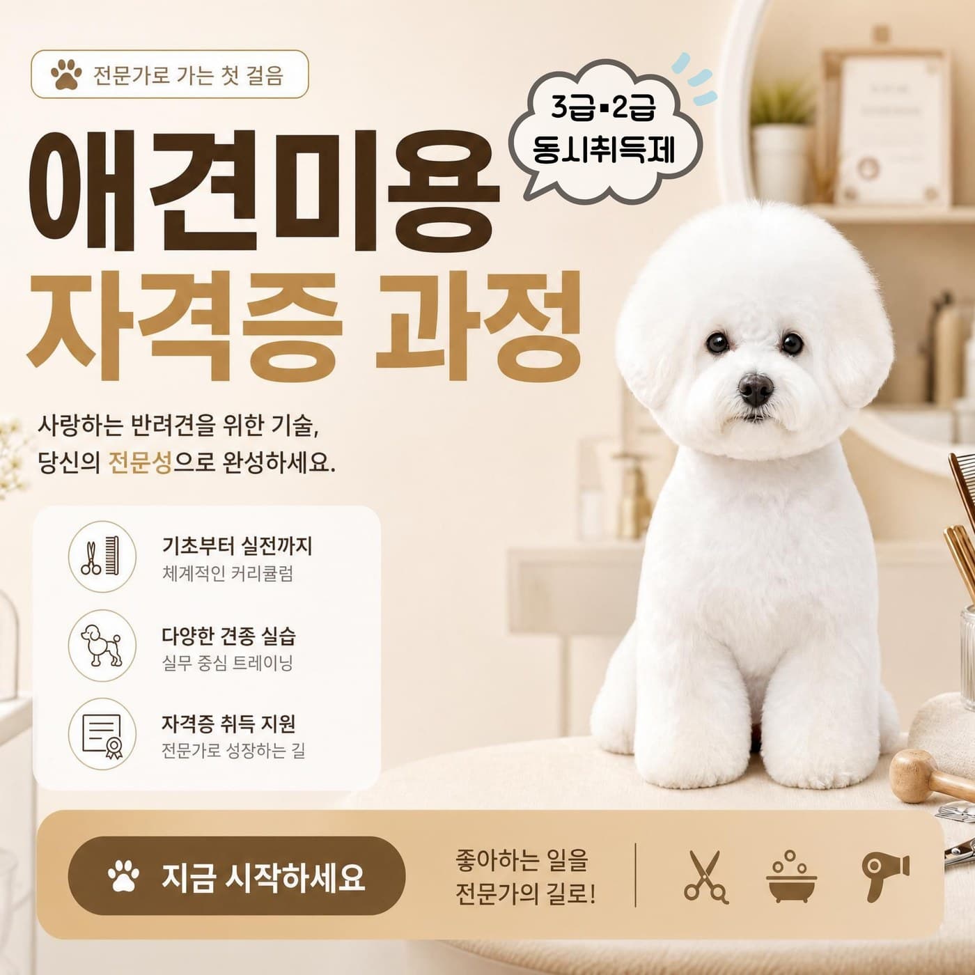 애견미용 자격증과정 - 3급·2급 동시취득제