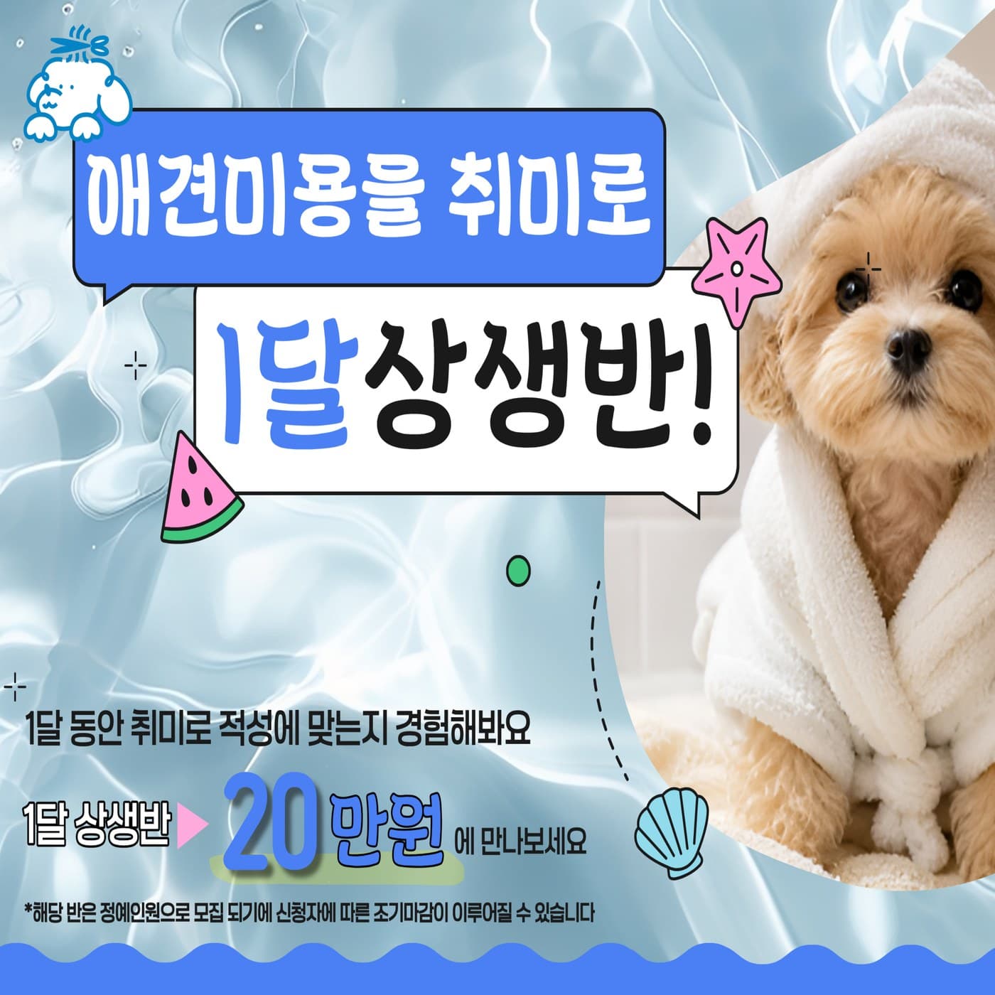 애견미용을 취미로 - 1달 상생반