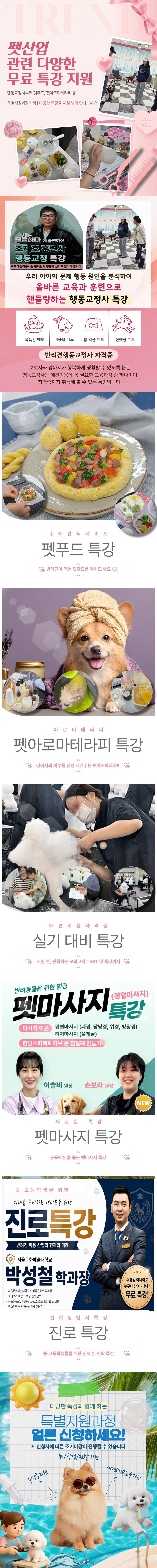 반려견 행동교정과정 상세페이지