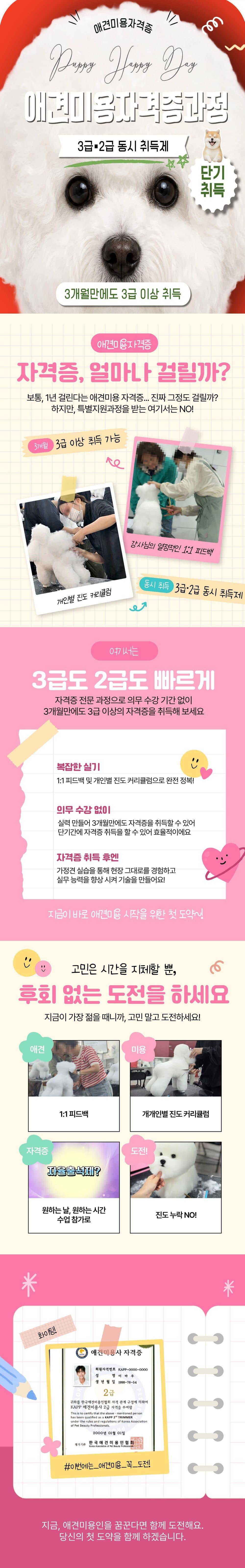 애견미용자격증과정 상세페이지