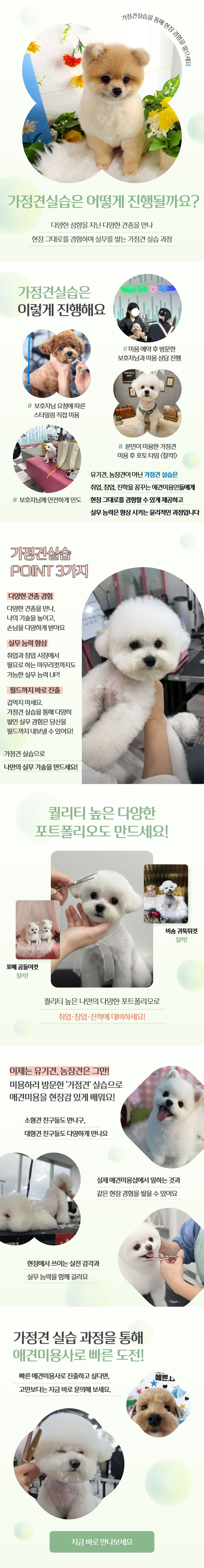 가정견실습과정 상세페이지