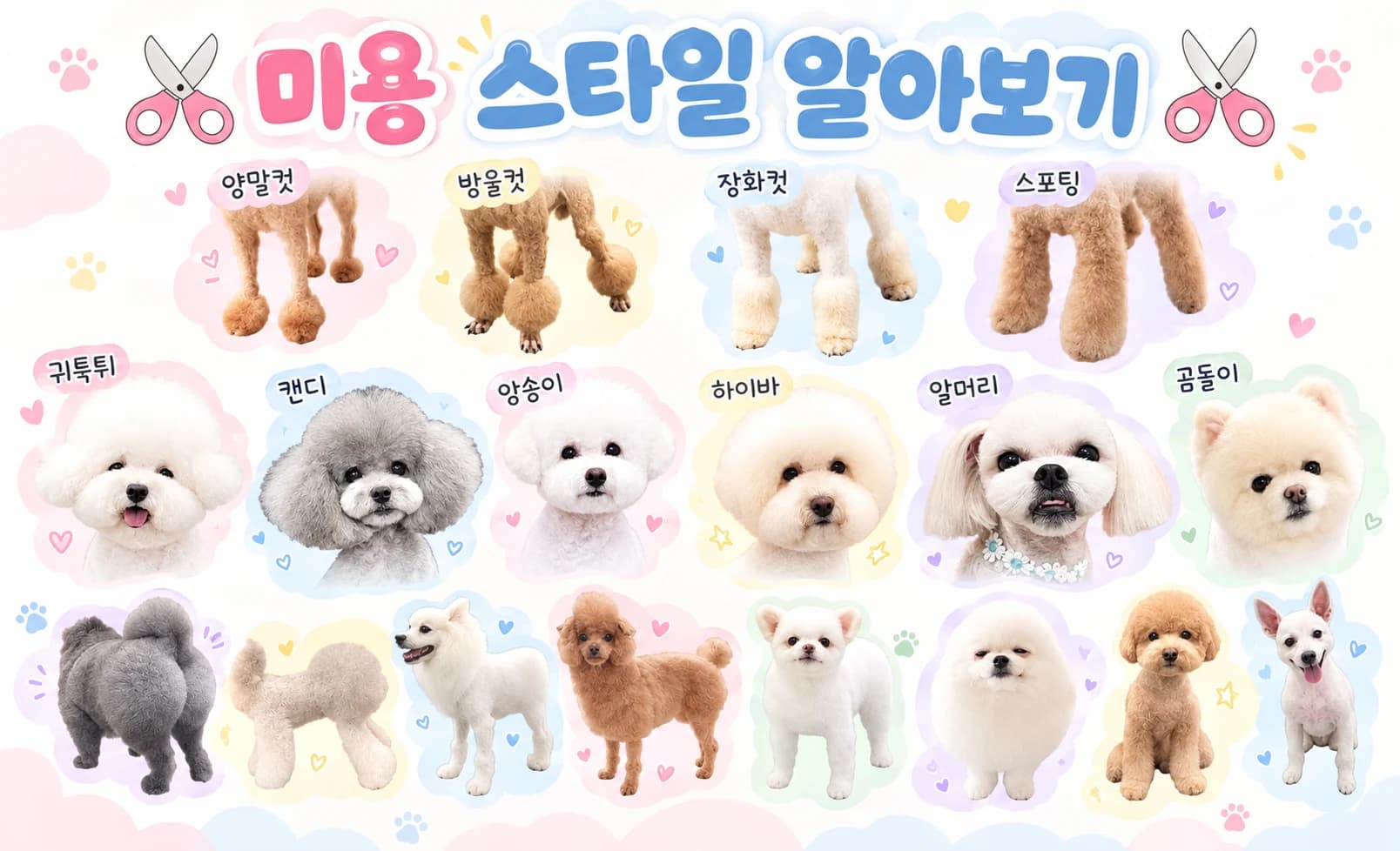 애견미용 실습 현장 배경