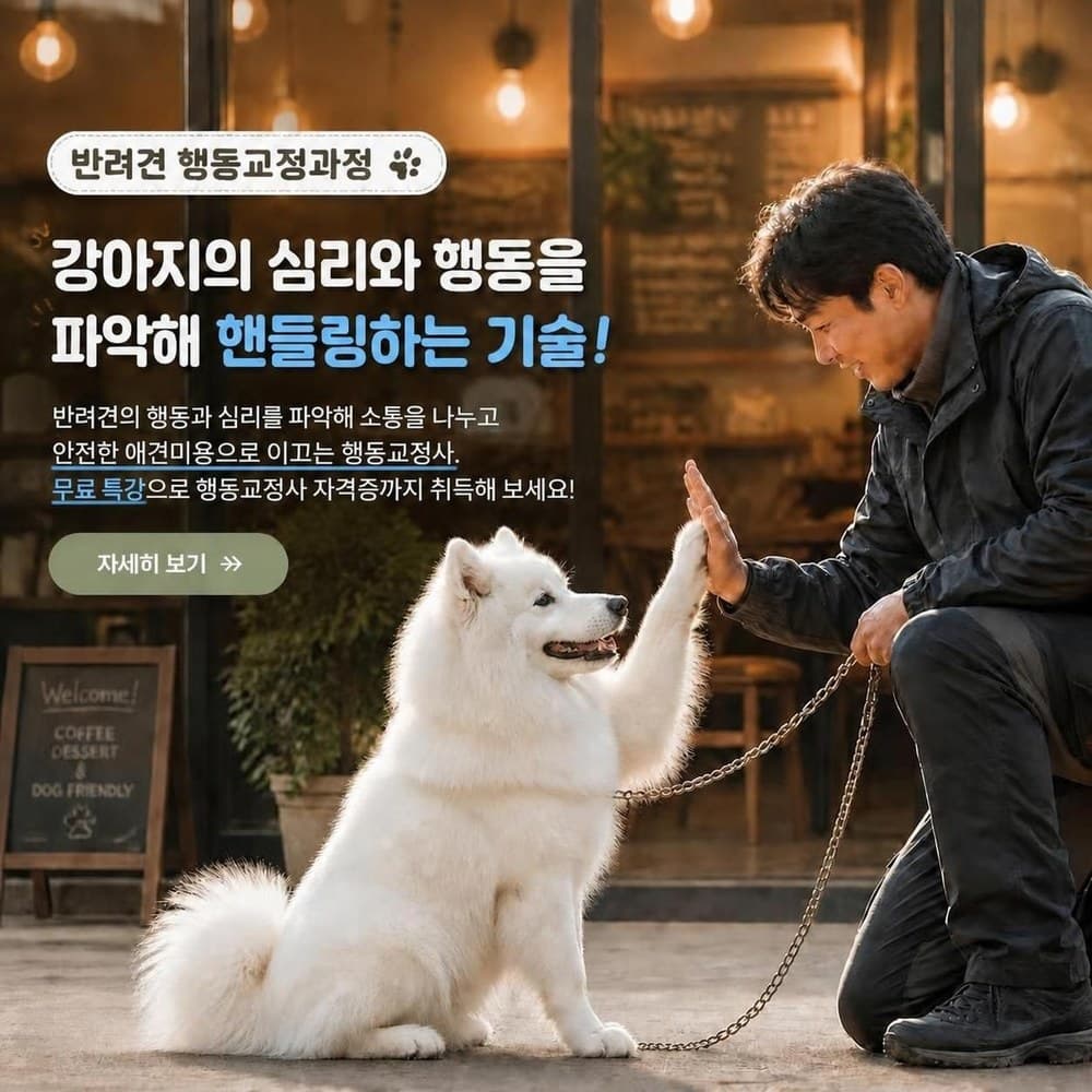 반려견 행동교정과정