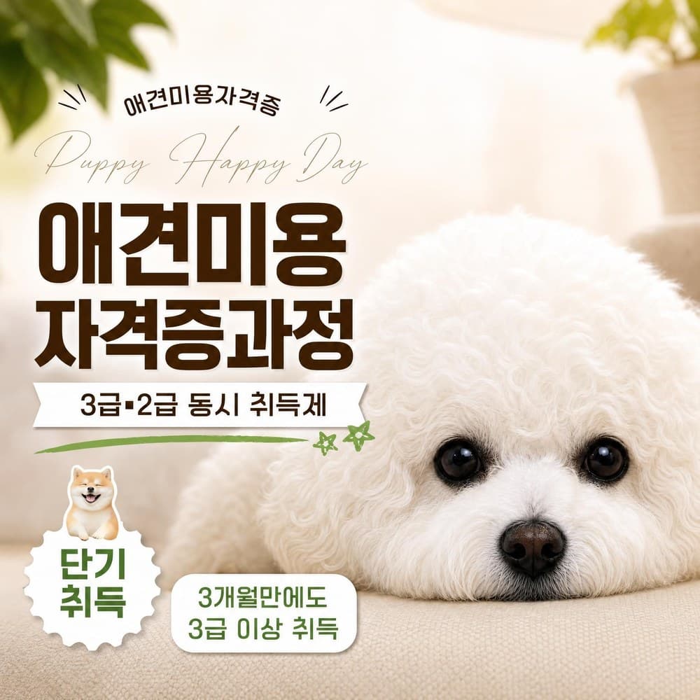 애견미용자격증과정
