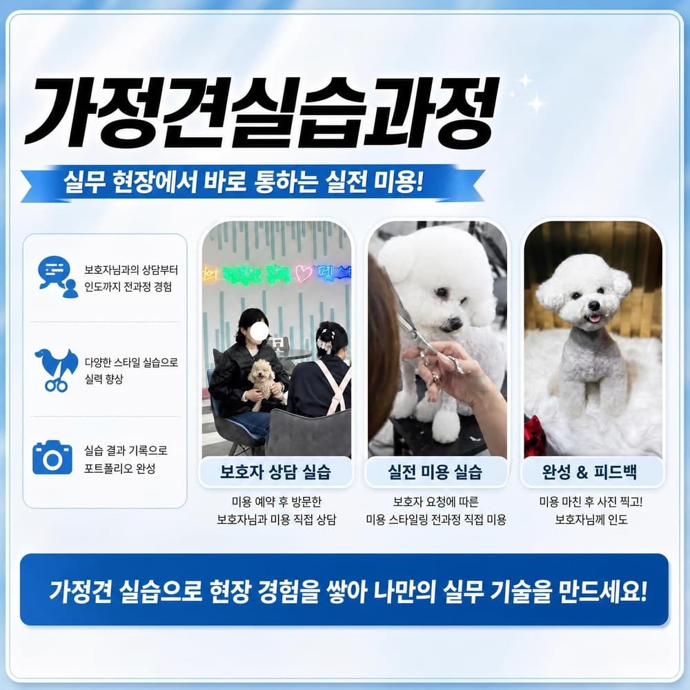 가정견실습과정