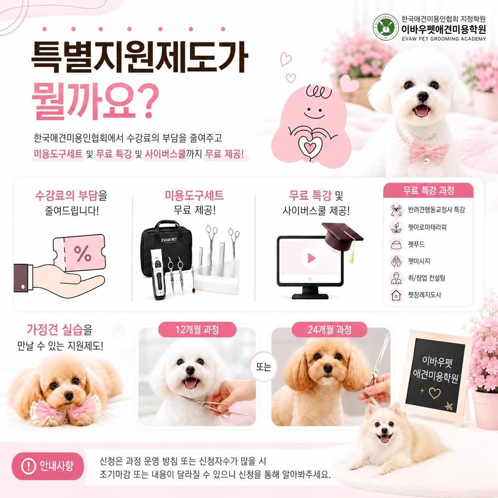 특별지원과정