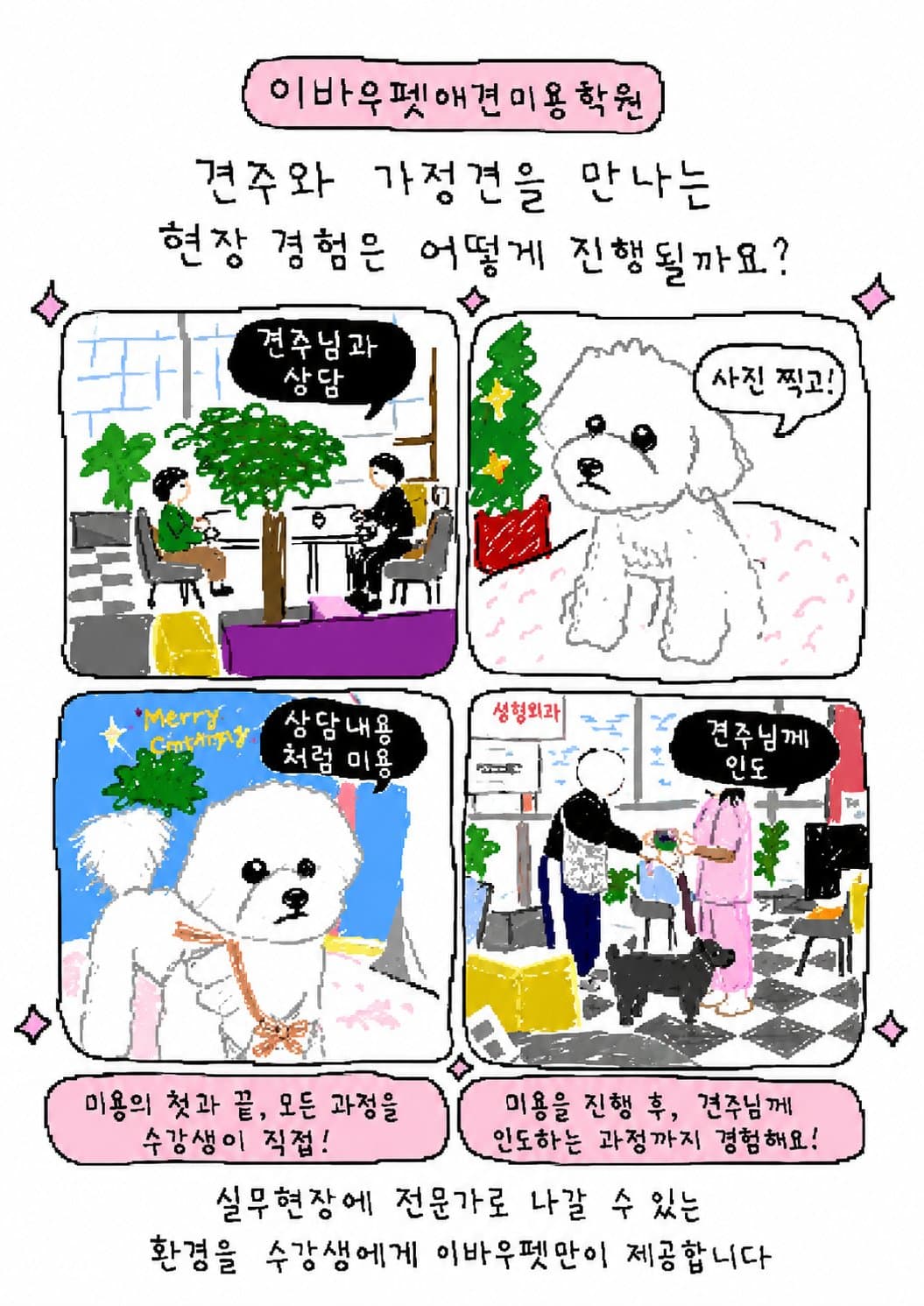 가정견 실습이 무엇인지 설명하는 4컷 만화