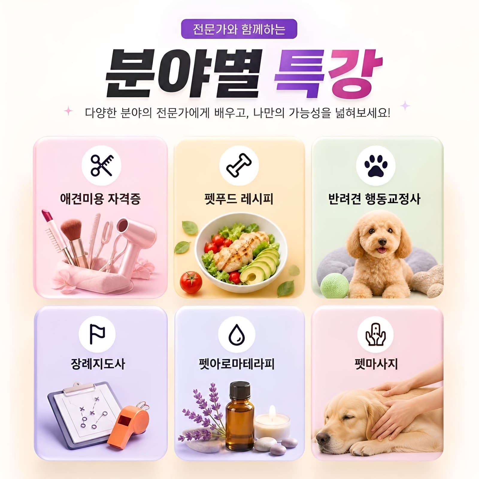 전문가와 함께하는 분야별 특강 - 애견미용 자격증, 펫푸드 레시피, 반려견 행동교정사, 장례지도사, 펫아로마테라피, 펫마사지