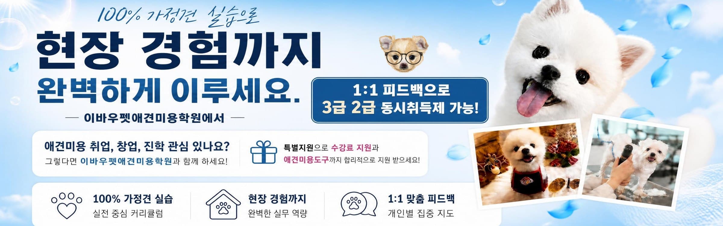 100% 가정견 실습으로 현장 경험까지 - 1:1 피드백으로 3급 2급 동시취득제 가능