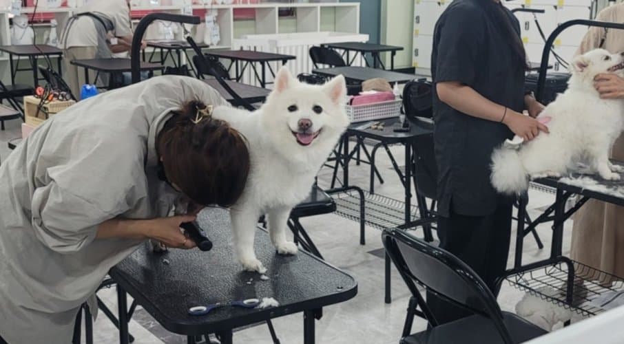 오전·오후·야간반 운영